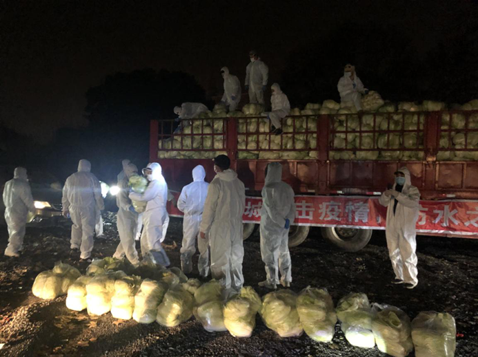 918博天堂 --官方网站